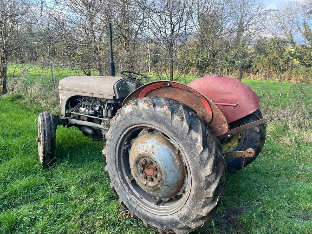 ferguson 20 diesel - Image 4