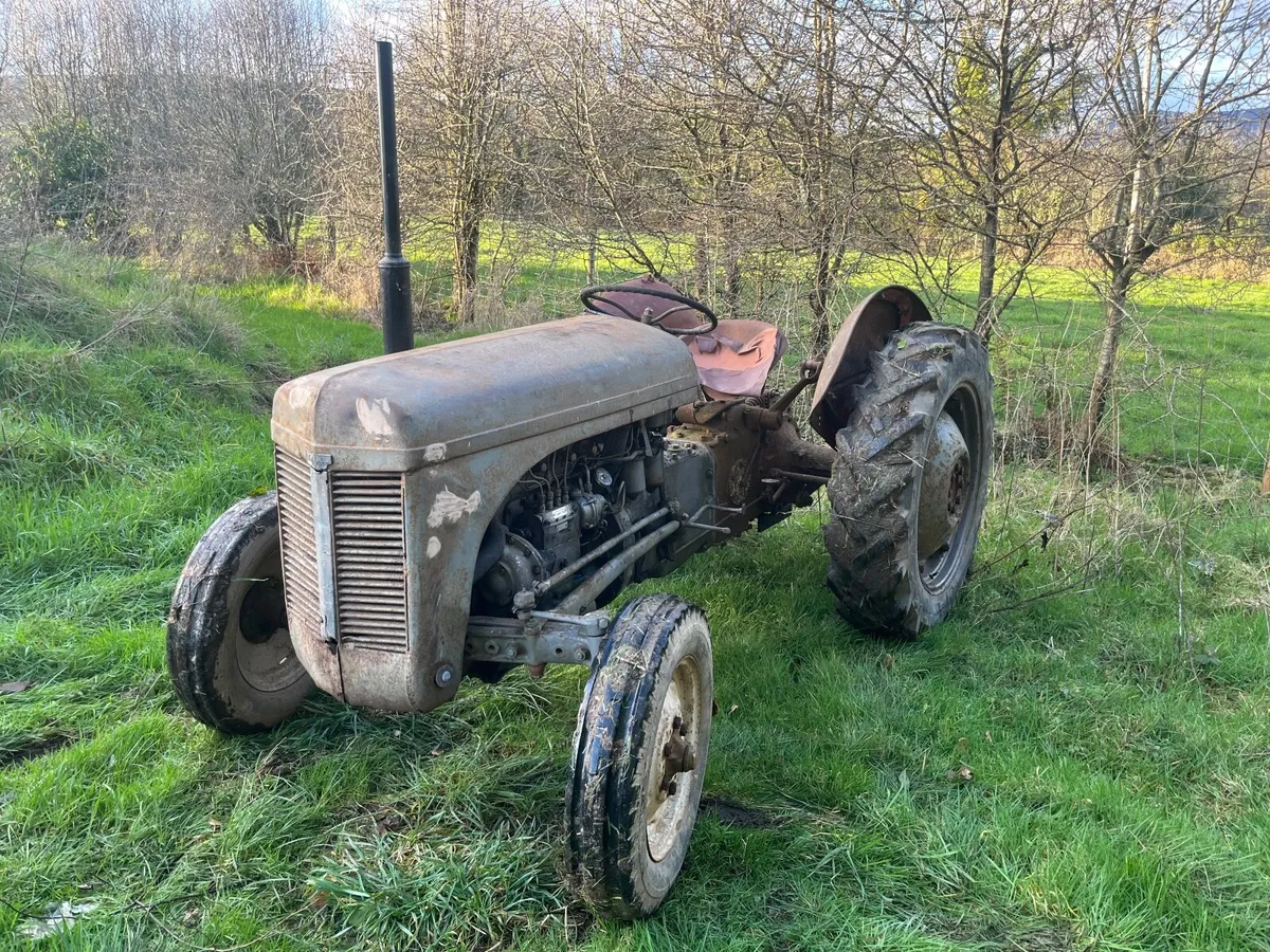 ferguson 20 diesel - Image 1