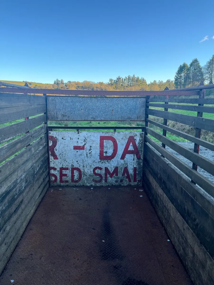 Cattle trailer - Image 2