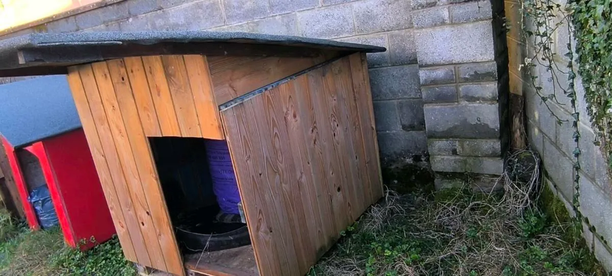Large wooden dog kennel - Image 3