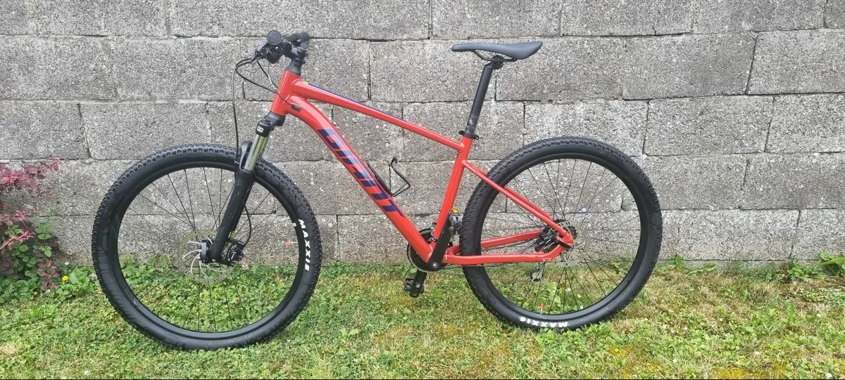 Men's Mountain Bike - Image 1