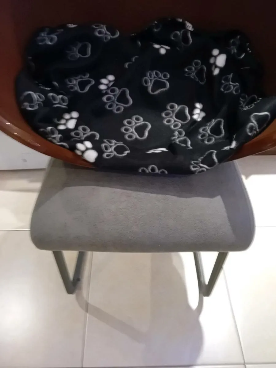 PET CARRYING CAGE AS NEW - Image 4