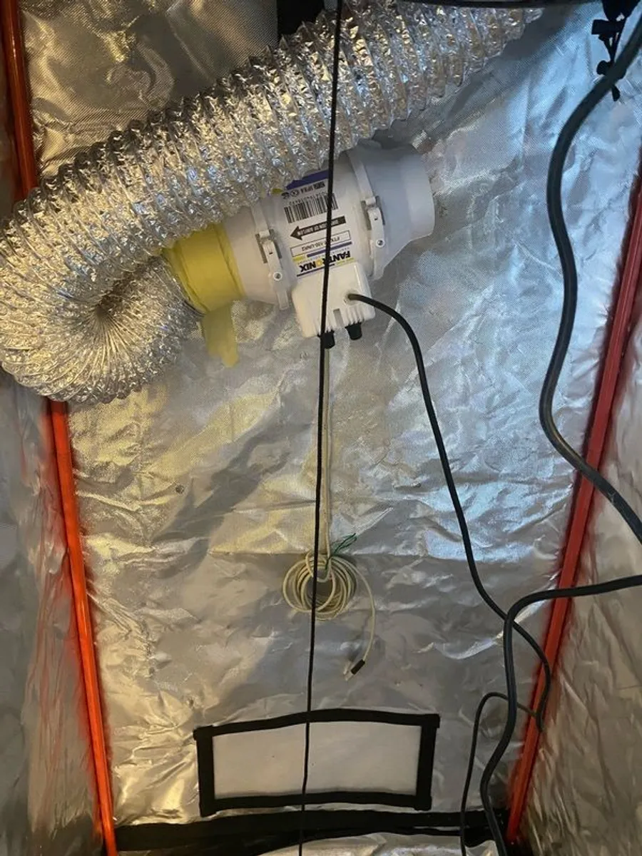 Black Orchid hydro box complete Assembled but never used - Image 4