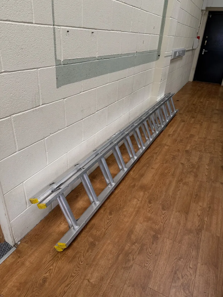 LYTE Extendable Double Ladder 6m - Image 1