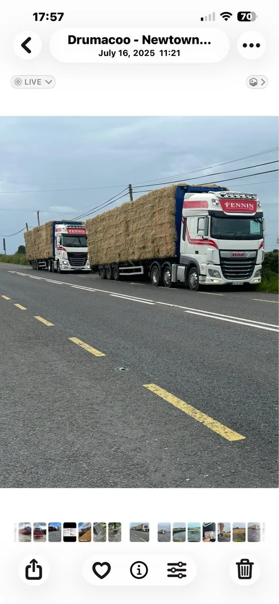 Beet hay straw maize - Image 2