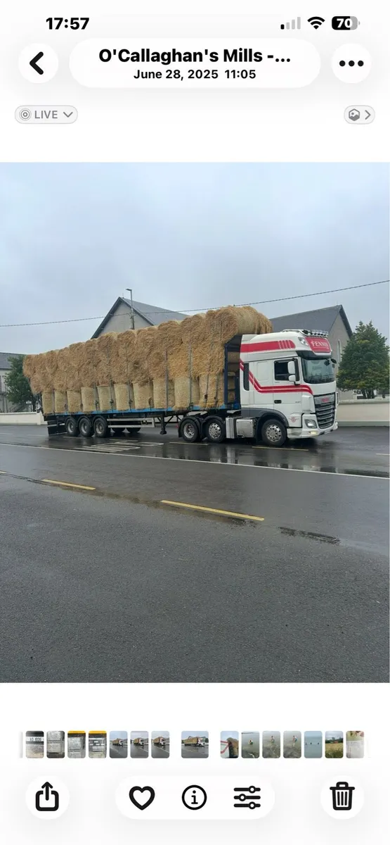 Beet hay straw maize - Image 3