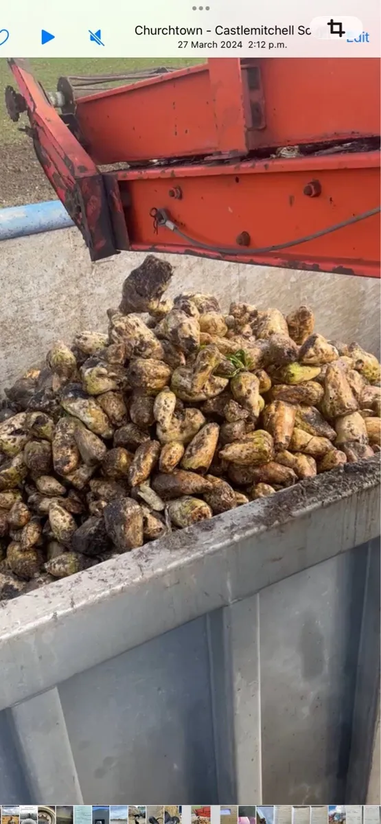 Beet hay straw maize - Image 4