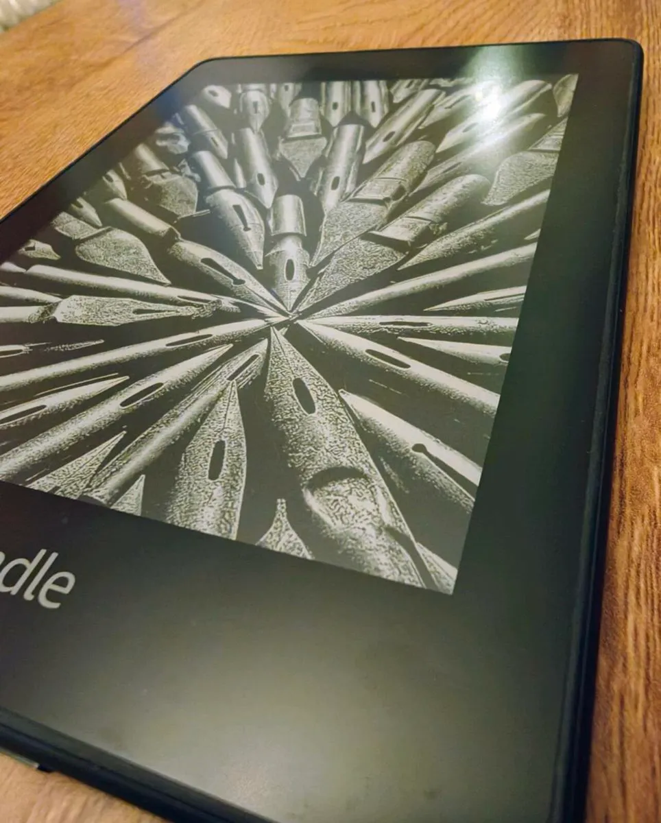 Amazon Kindle Paperwhite 8GB 7th gen - Image 2