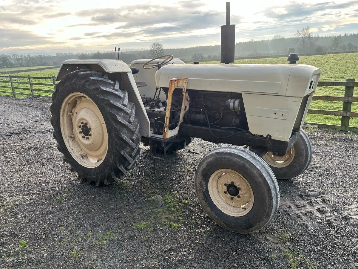 David brown 995 - Image 1