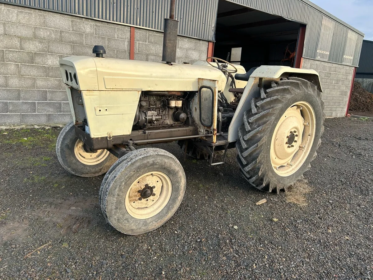 David brown 995 - Image 2