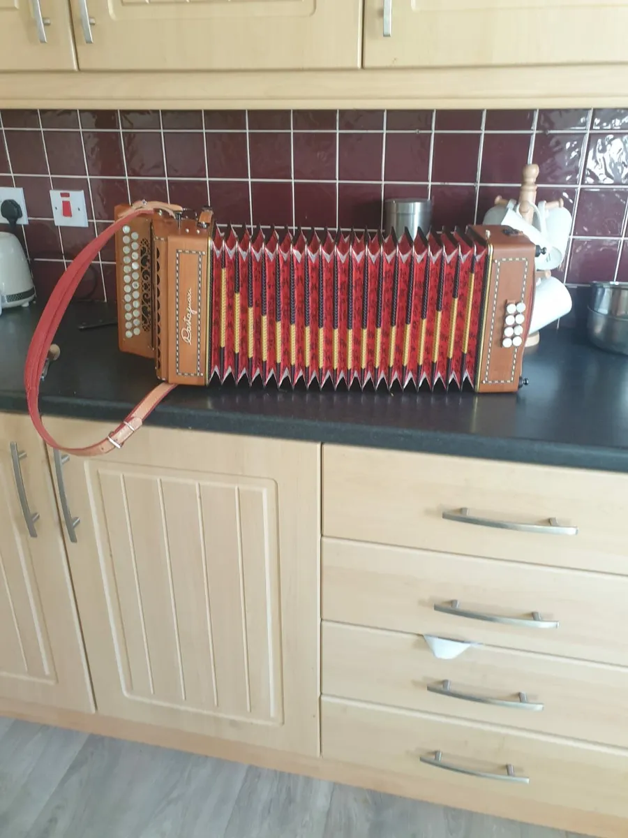 Castagnari Accordion - Image 3