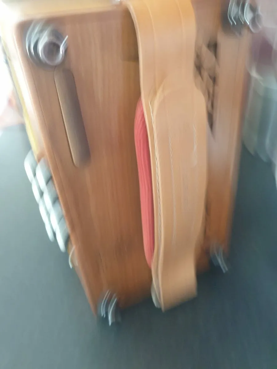 Castagnari Accordion - Image 4