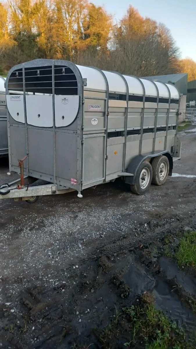 Nugent 12ft cattle trailer (year 2018)  €5750 - Image 2