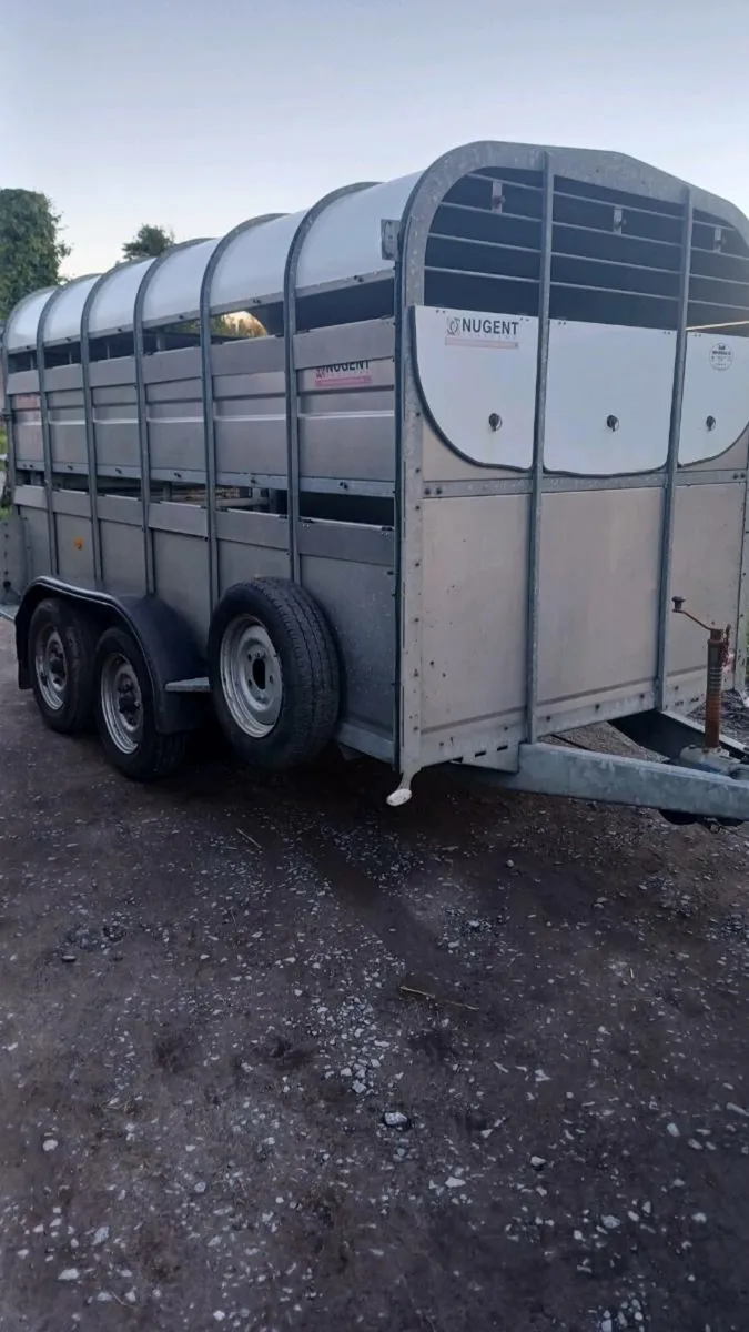 Nugent 12ft cattle trailer (year 2018)  €5750 - Image 1