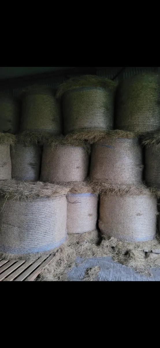Hay for sale - Image 1