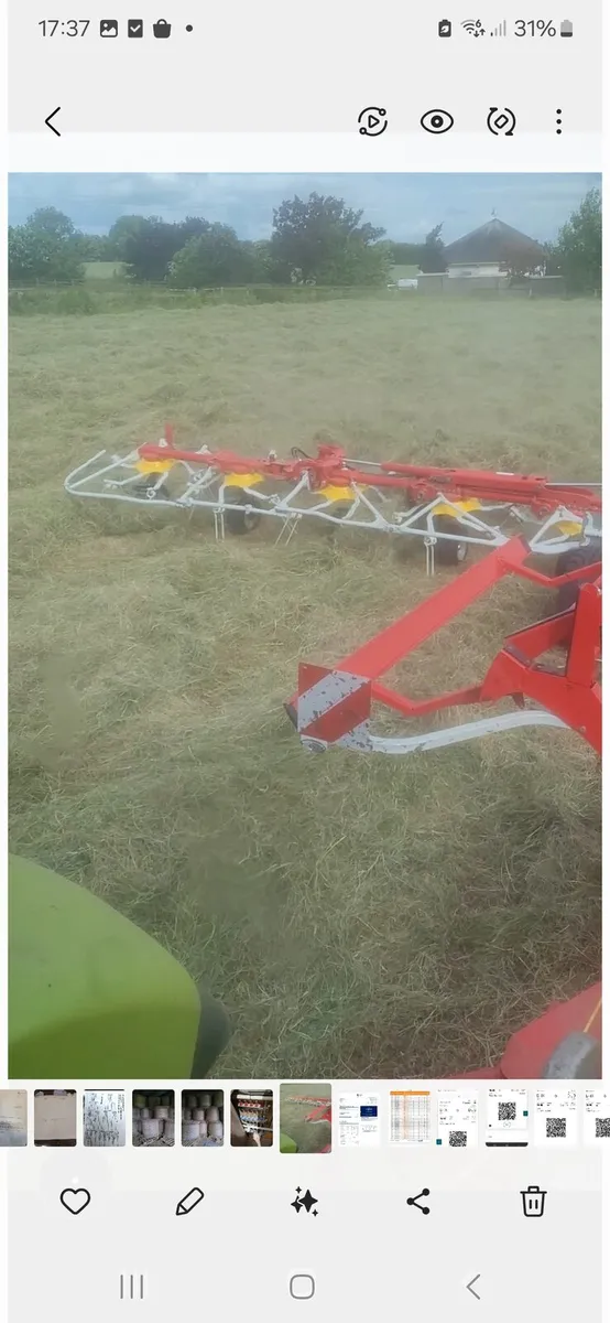 Hay for sale - Image 2