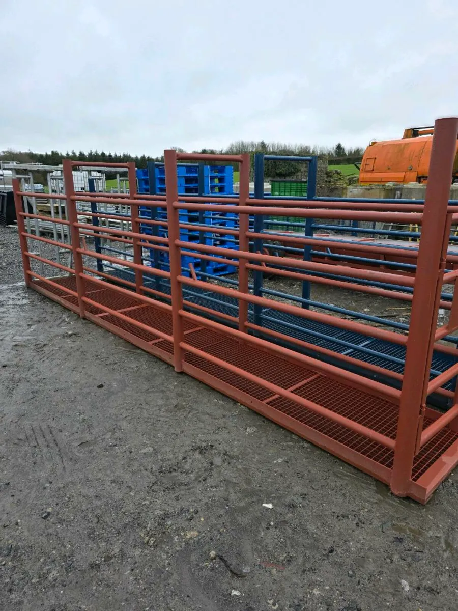 Timed Auction opened for bidding - Image 4