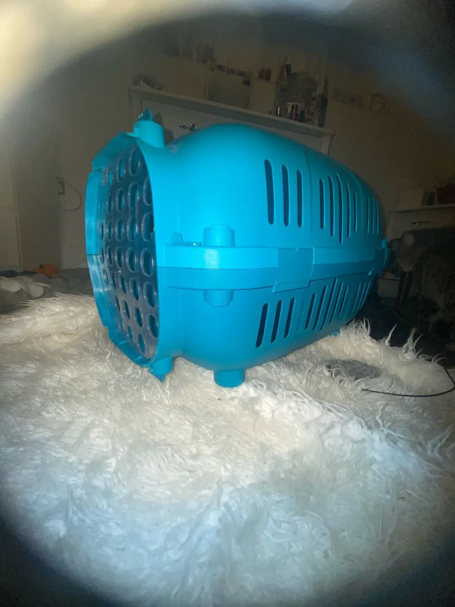 Kitten/cat carrier - Image 3