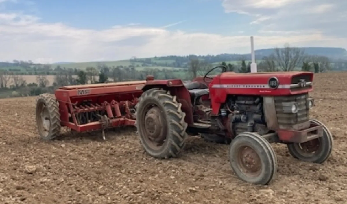 MF 30 seed and fert drill - Image 1