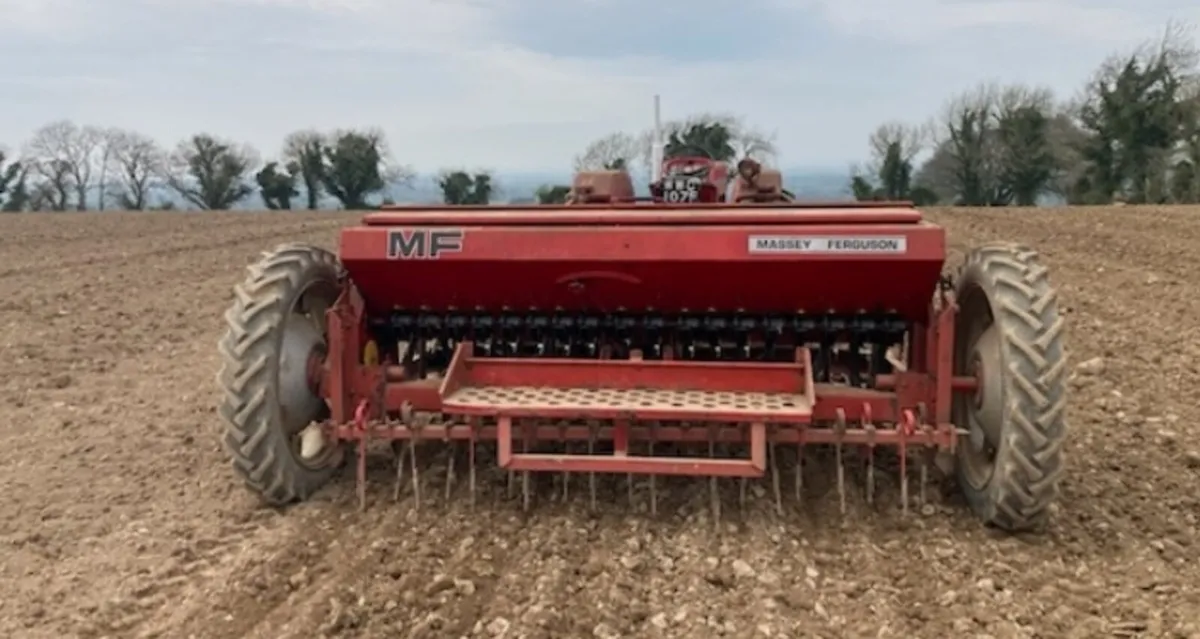 MF 30 seed and fert drill - Image 2