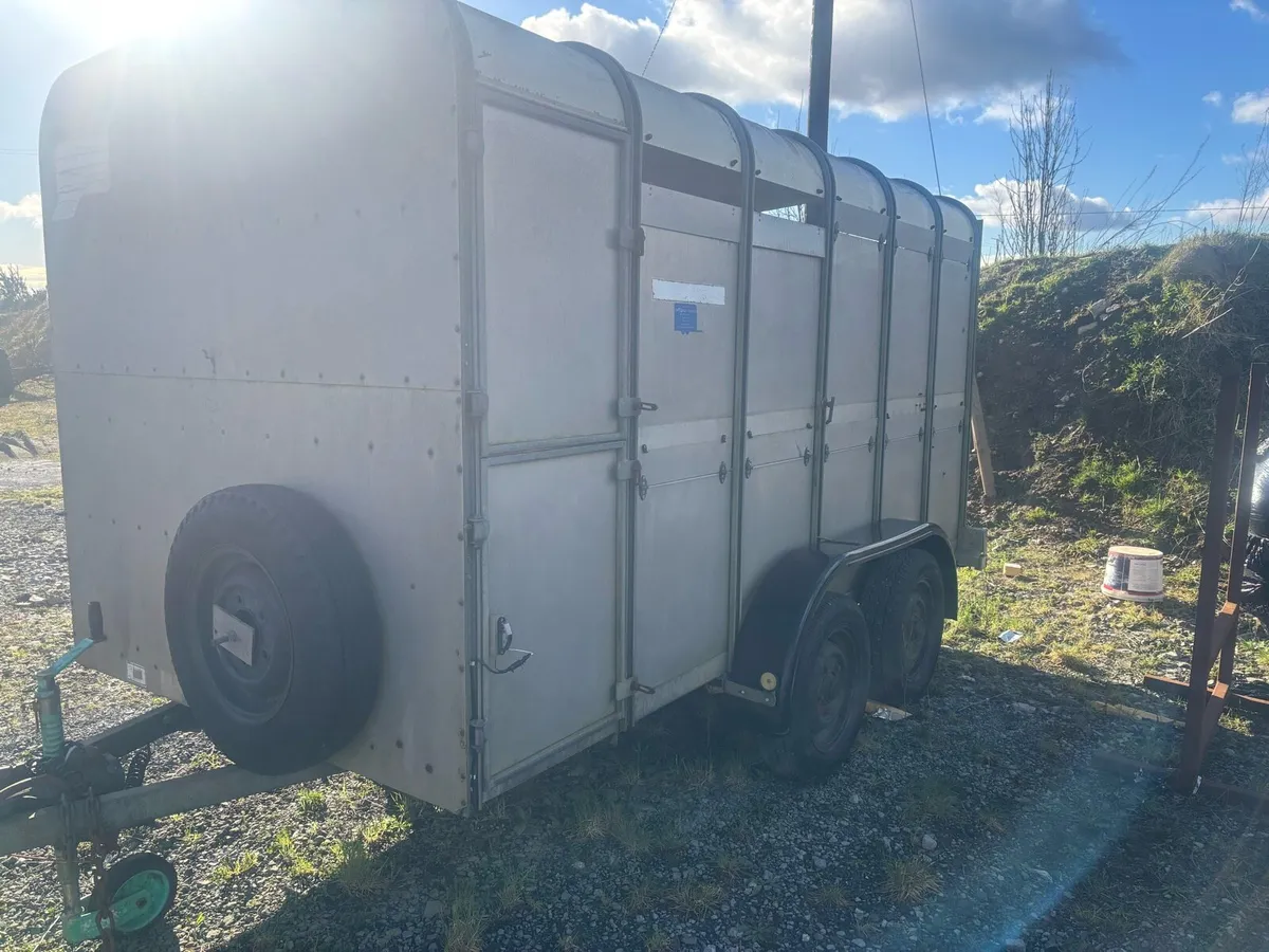 Ifor Williams 12x6 Livestock Trailers - Image 1