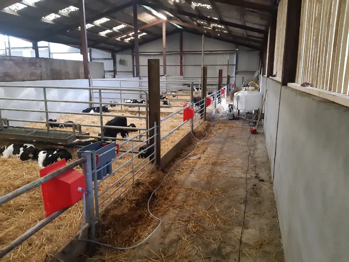 Power Automatic Calf Feeder PLS - Image 3