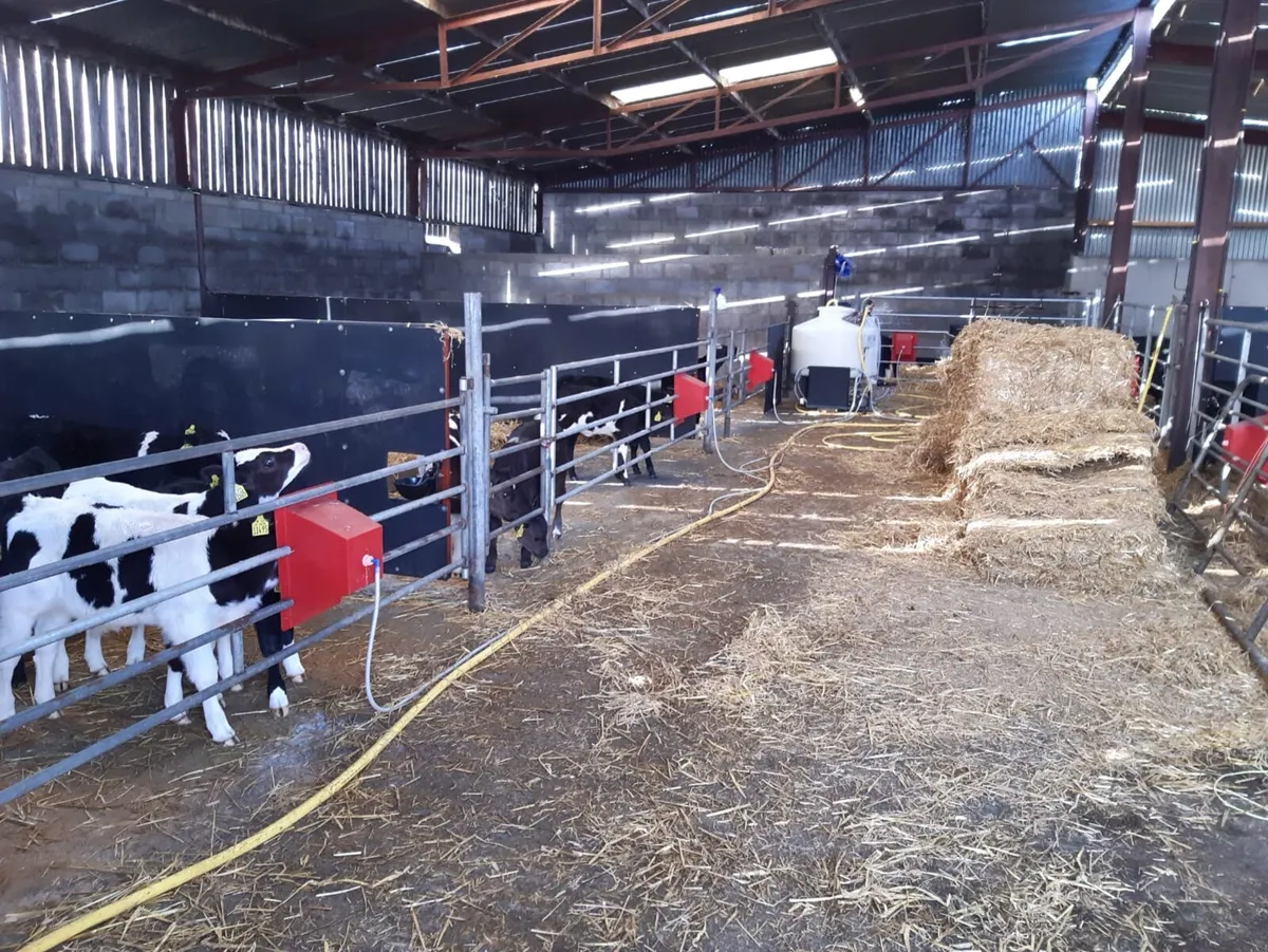 Power Automatic Calf Feeder PLS - Image 4