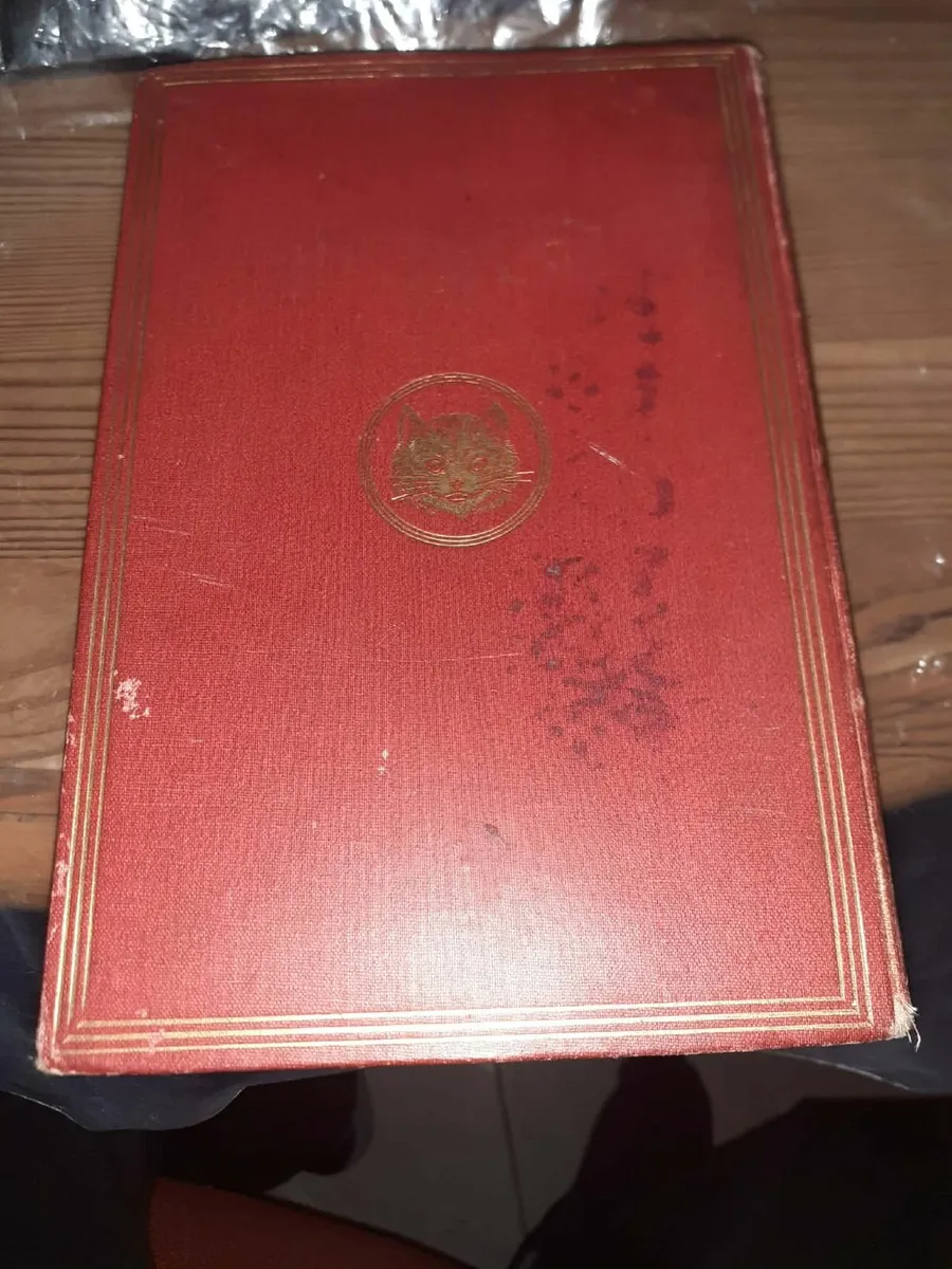 Alice's Adventures In Wonderland. Book from 1879 - Image 2
