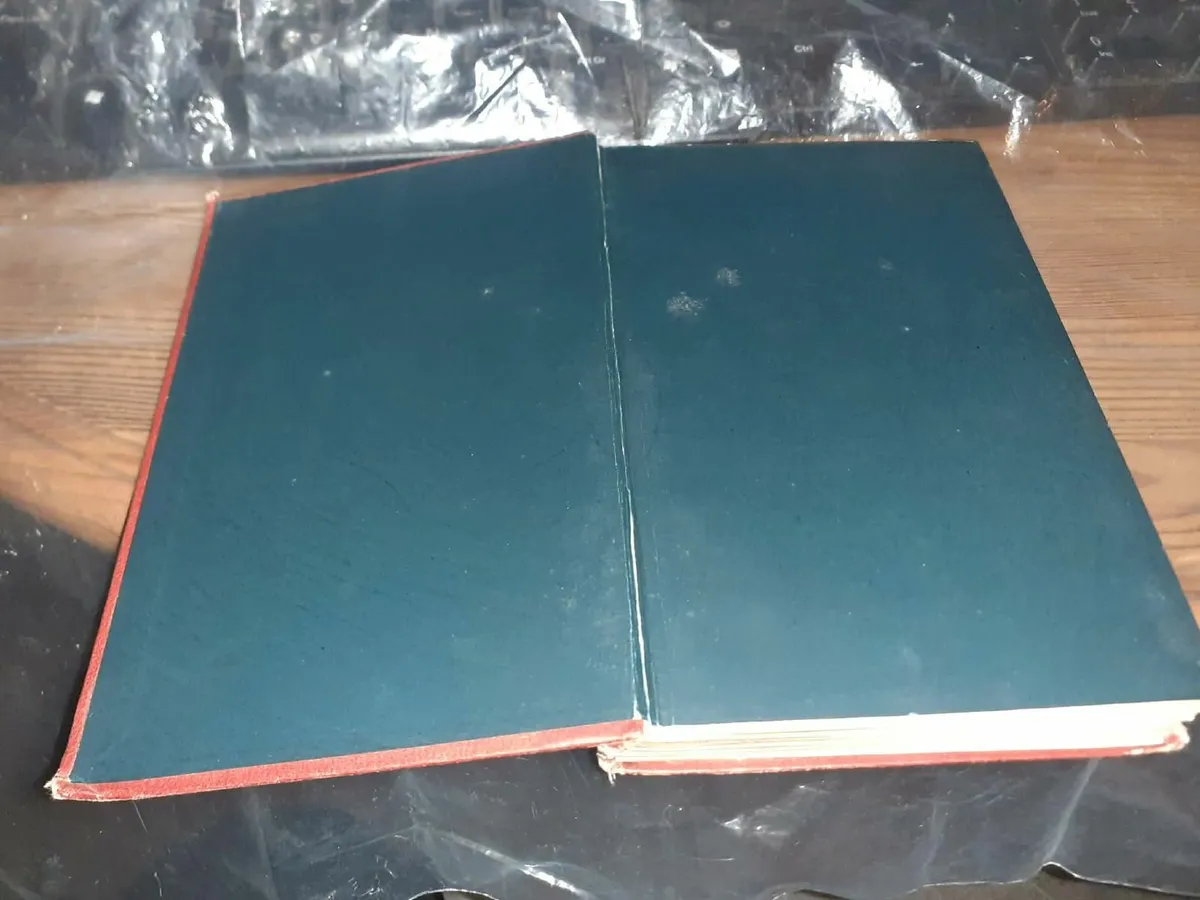 Alice's Adventures In Wonderland. Book from 1879 - Image 3