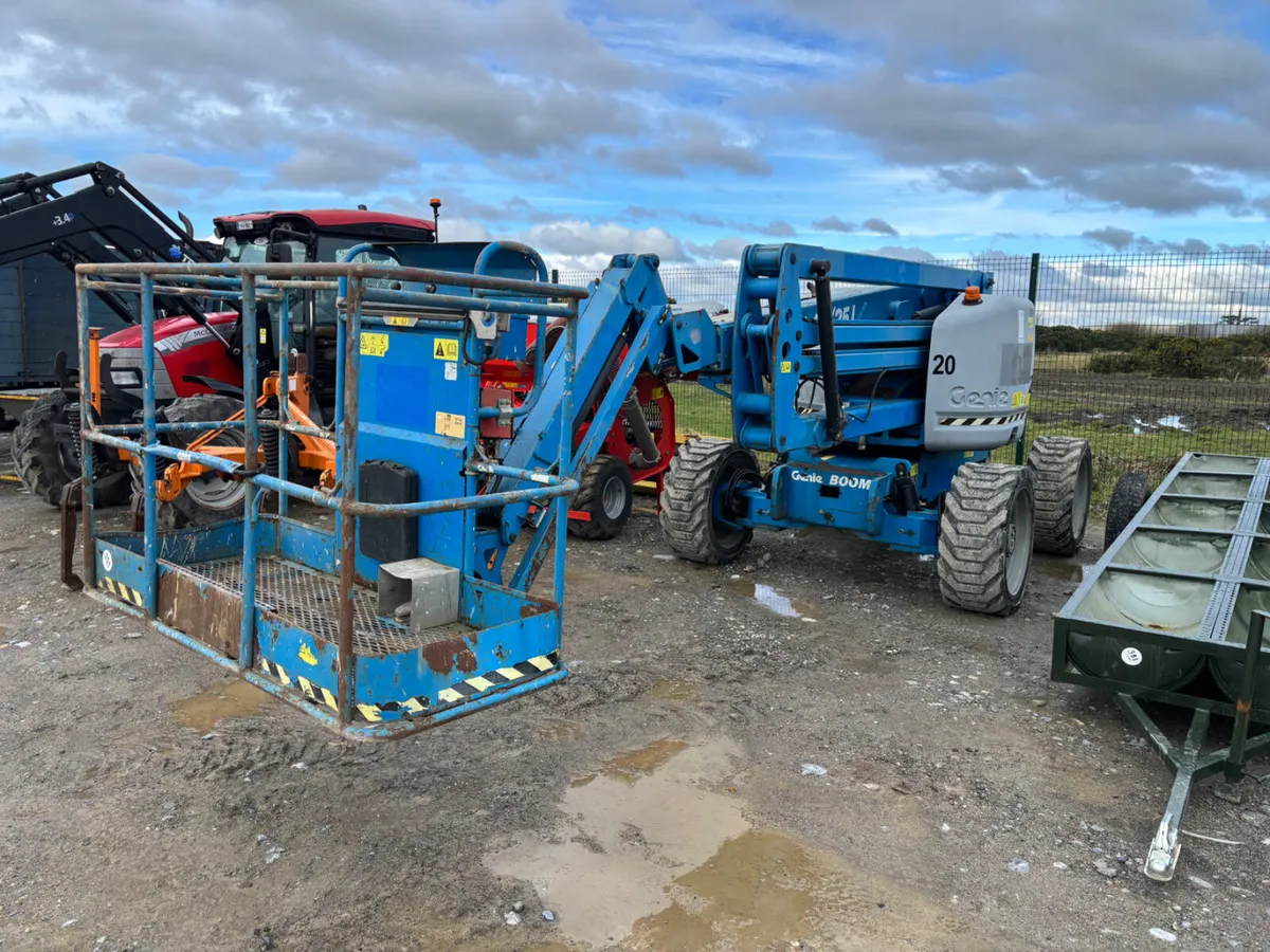 Portlaoise Auction Yard  Full 1000 Lots - Image 4