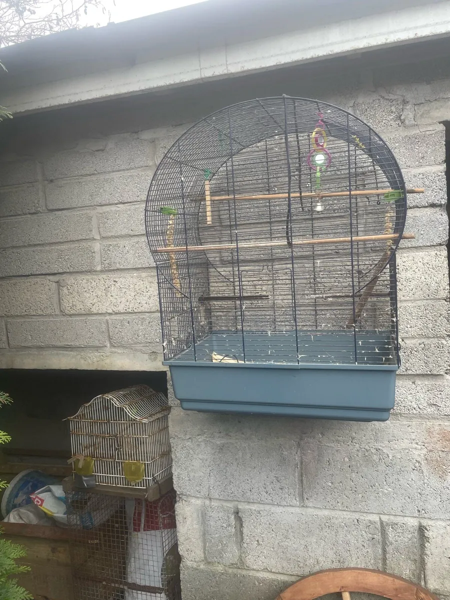 Bird cage - Image 1