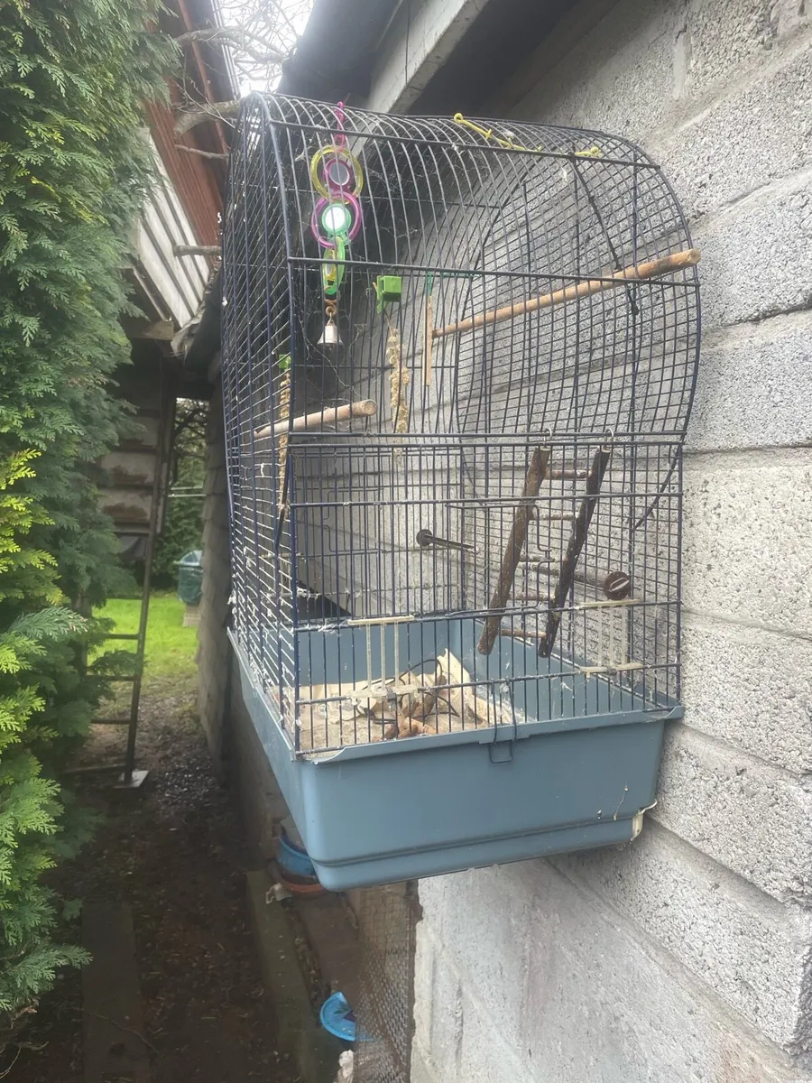 Bird cage - Image 2