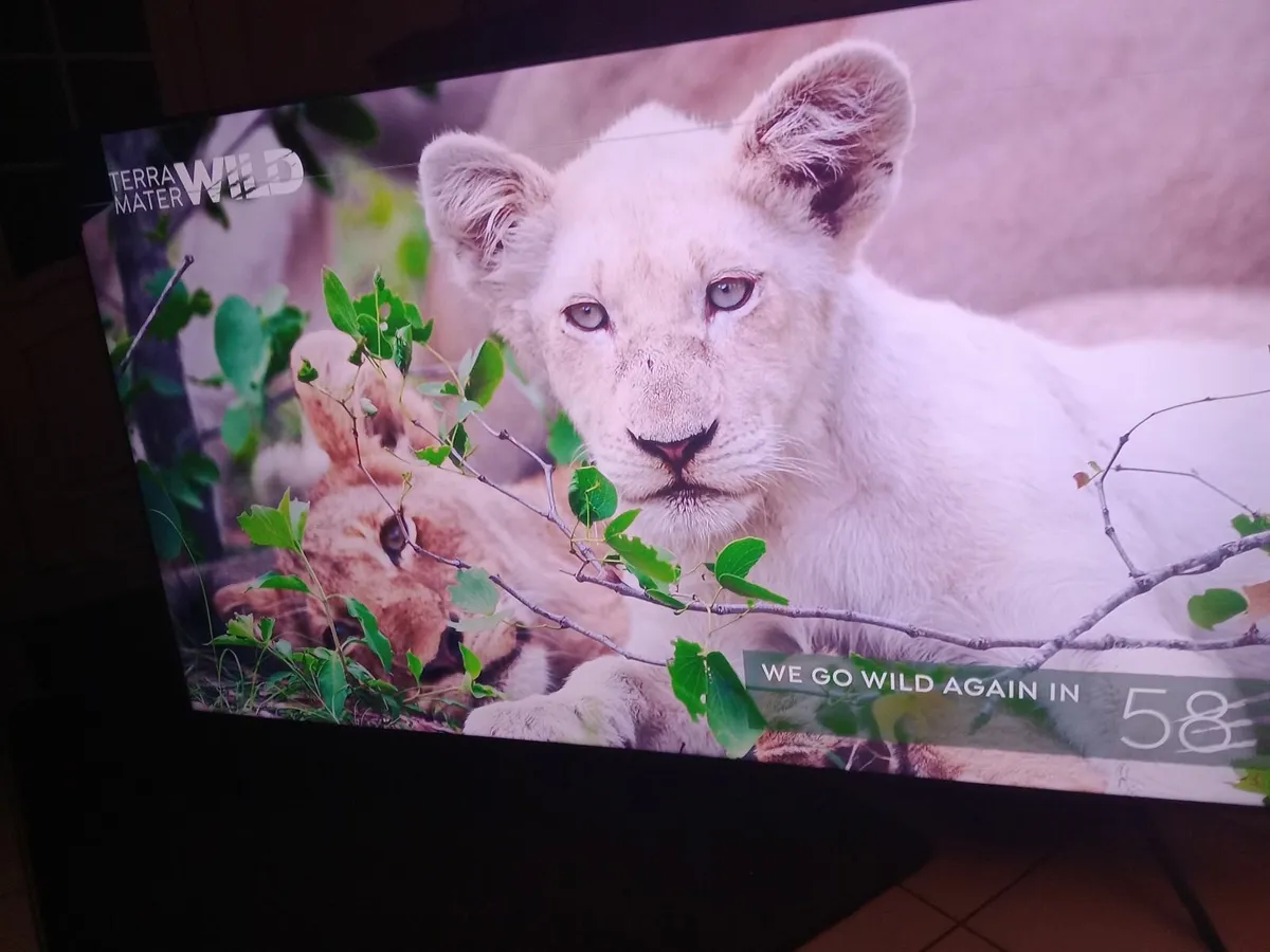 75 inch 4k smart Tv - Image 2