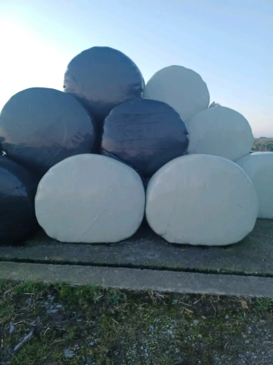Silage bales for sale - Image 1