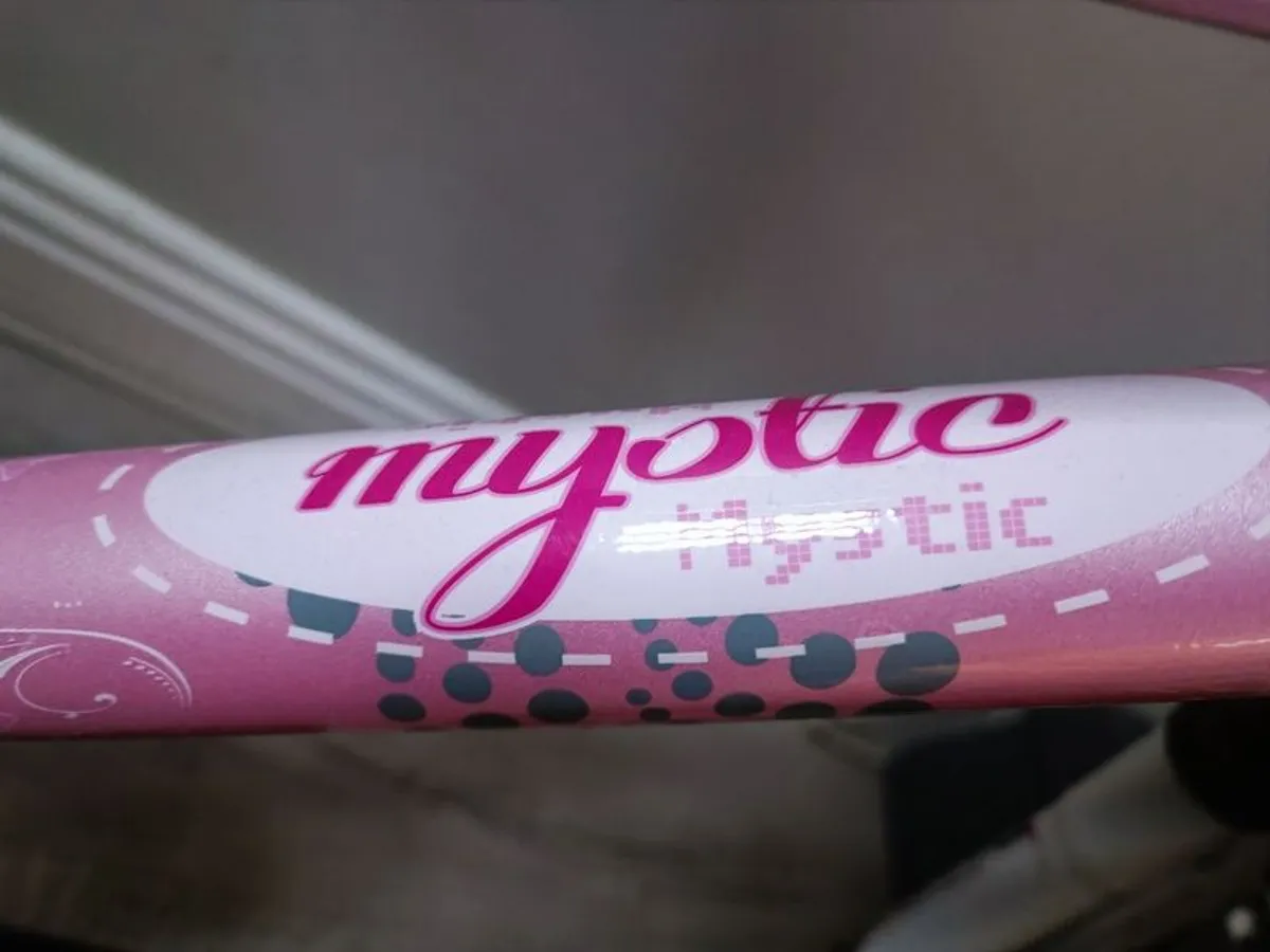 Girls Bike - Image 4