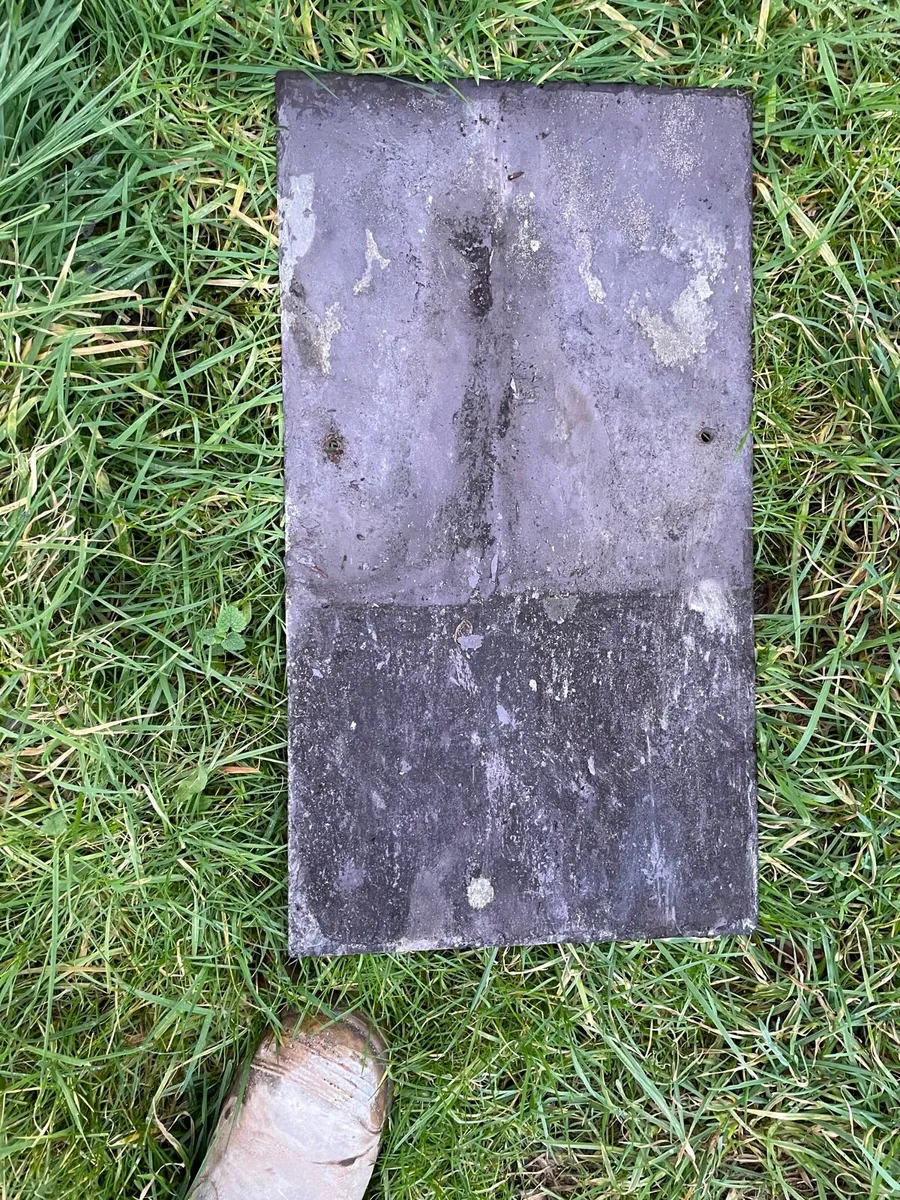 Blue Bangor Slates - Image 2