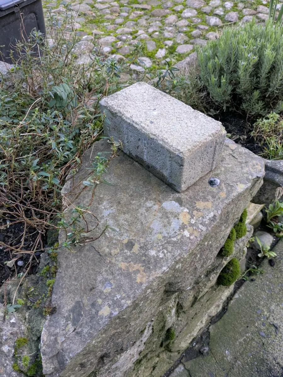 Paving bricks - Image 1