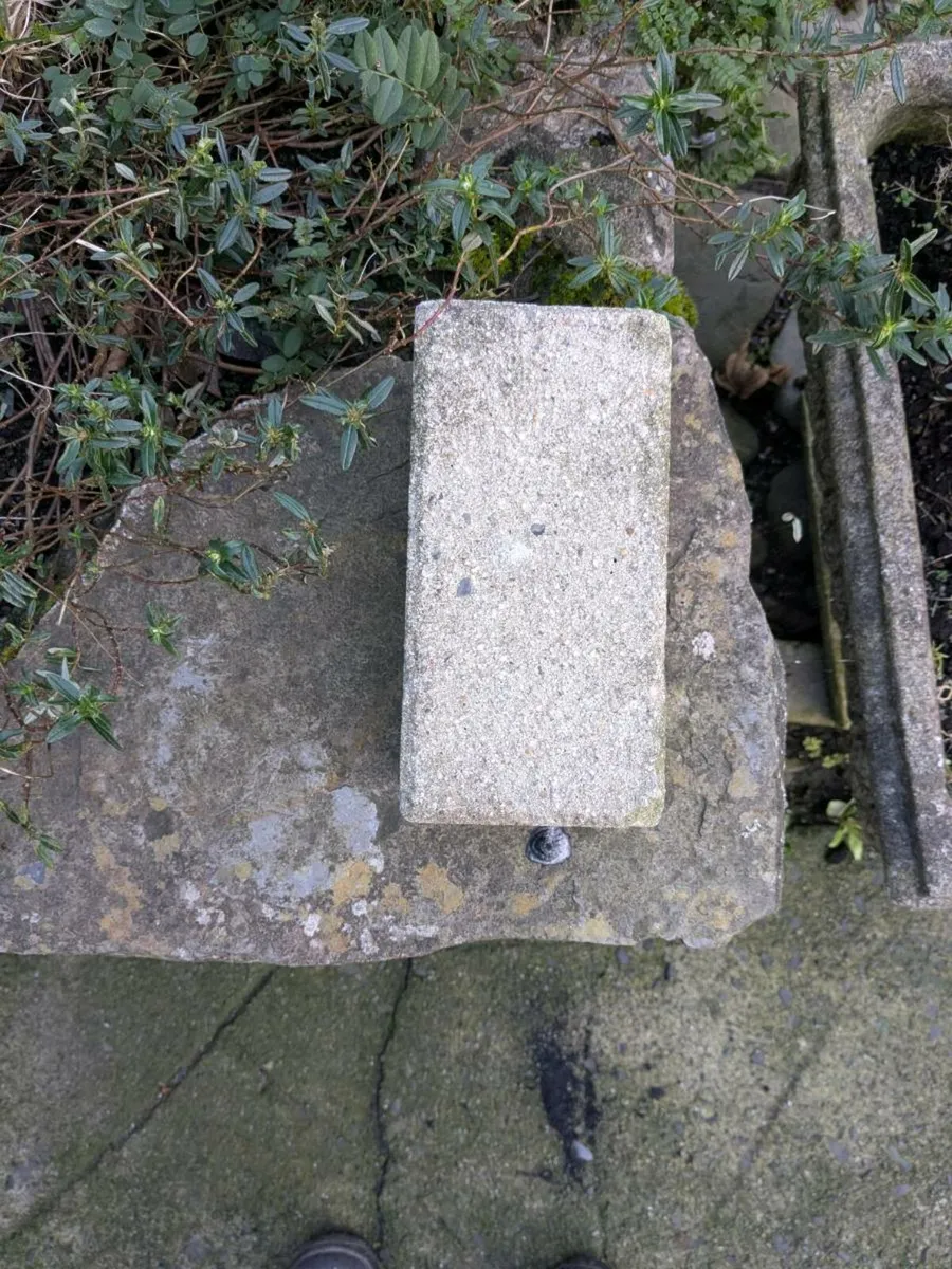 Paving bricks - Image 2