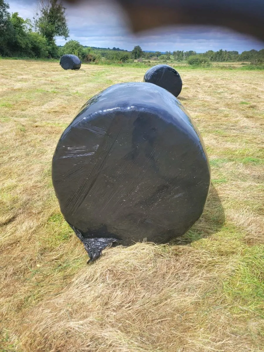 Silage (Rathconrath) - Image 1