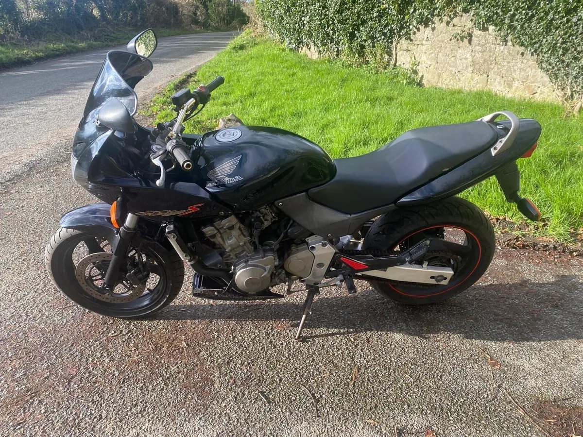 Honda hornet - Image 2