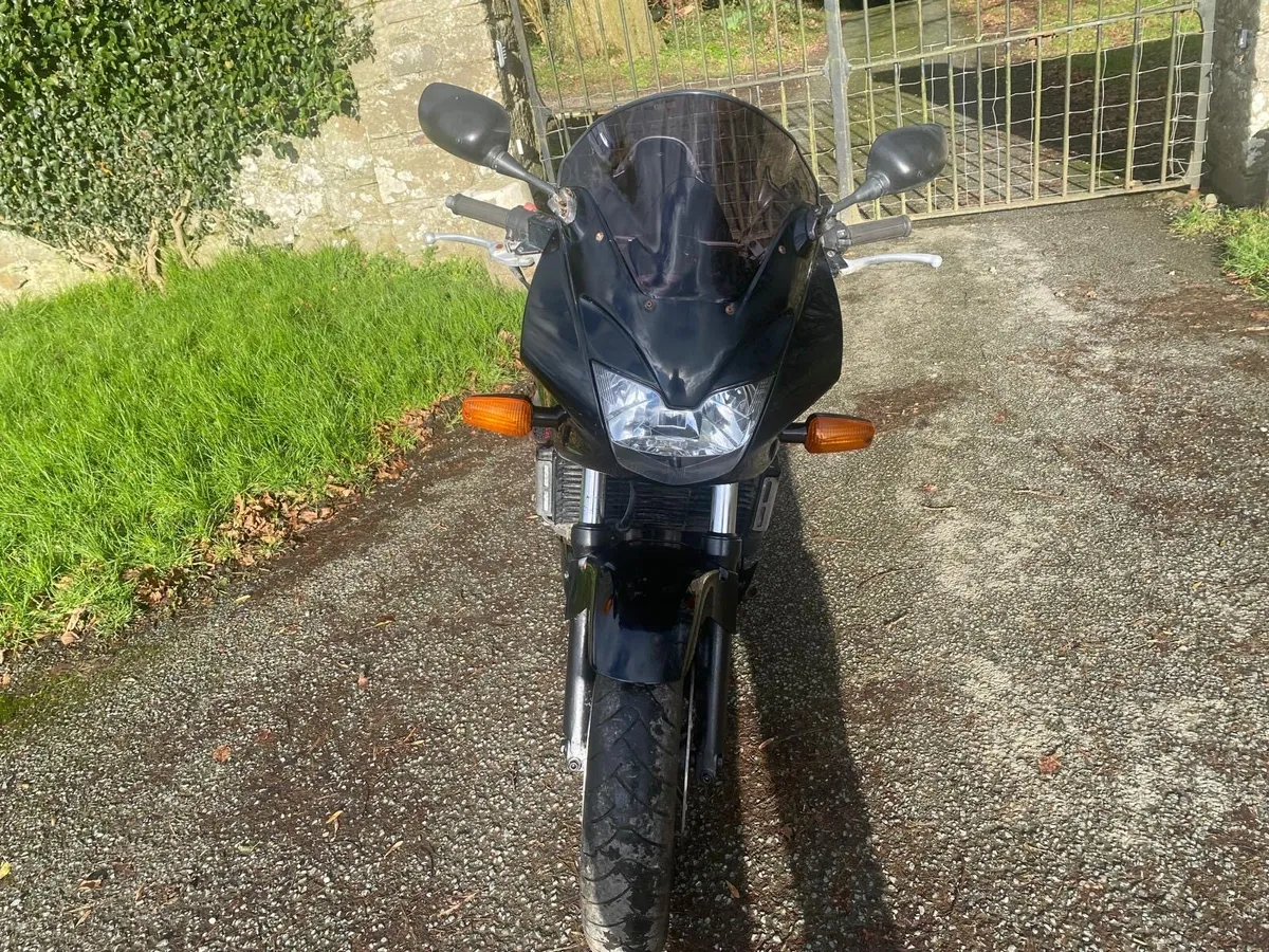 Honda hornet - Image 3