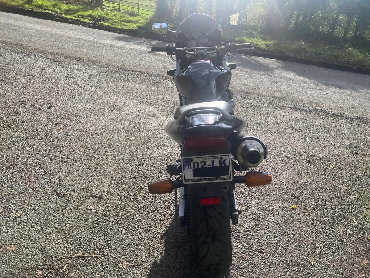 Honda hornet - Image 4