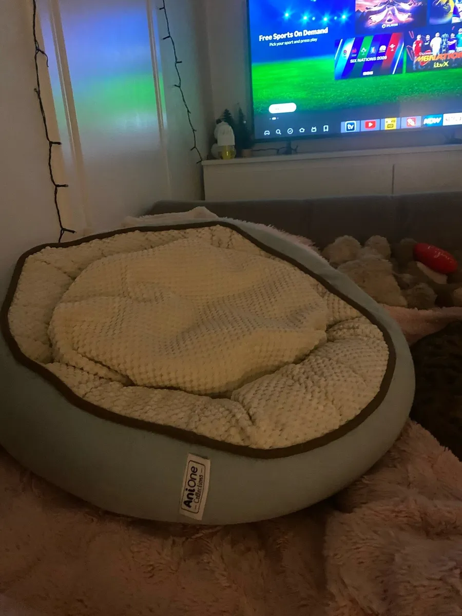 Pet bed - Image 1