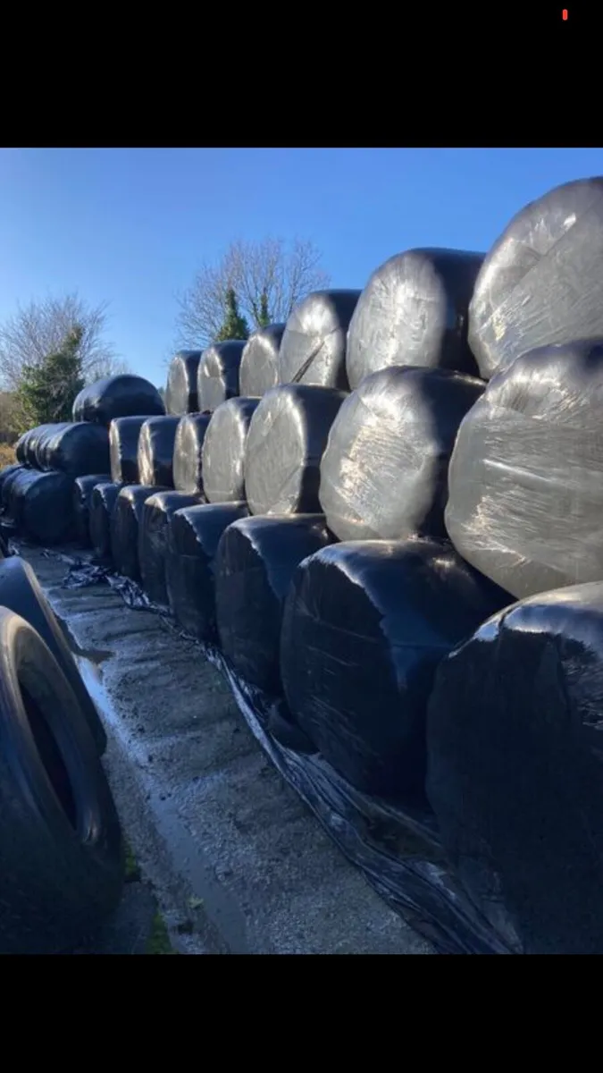Silage Bales for Sale - Image 1
