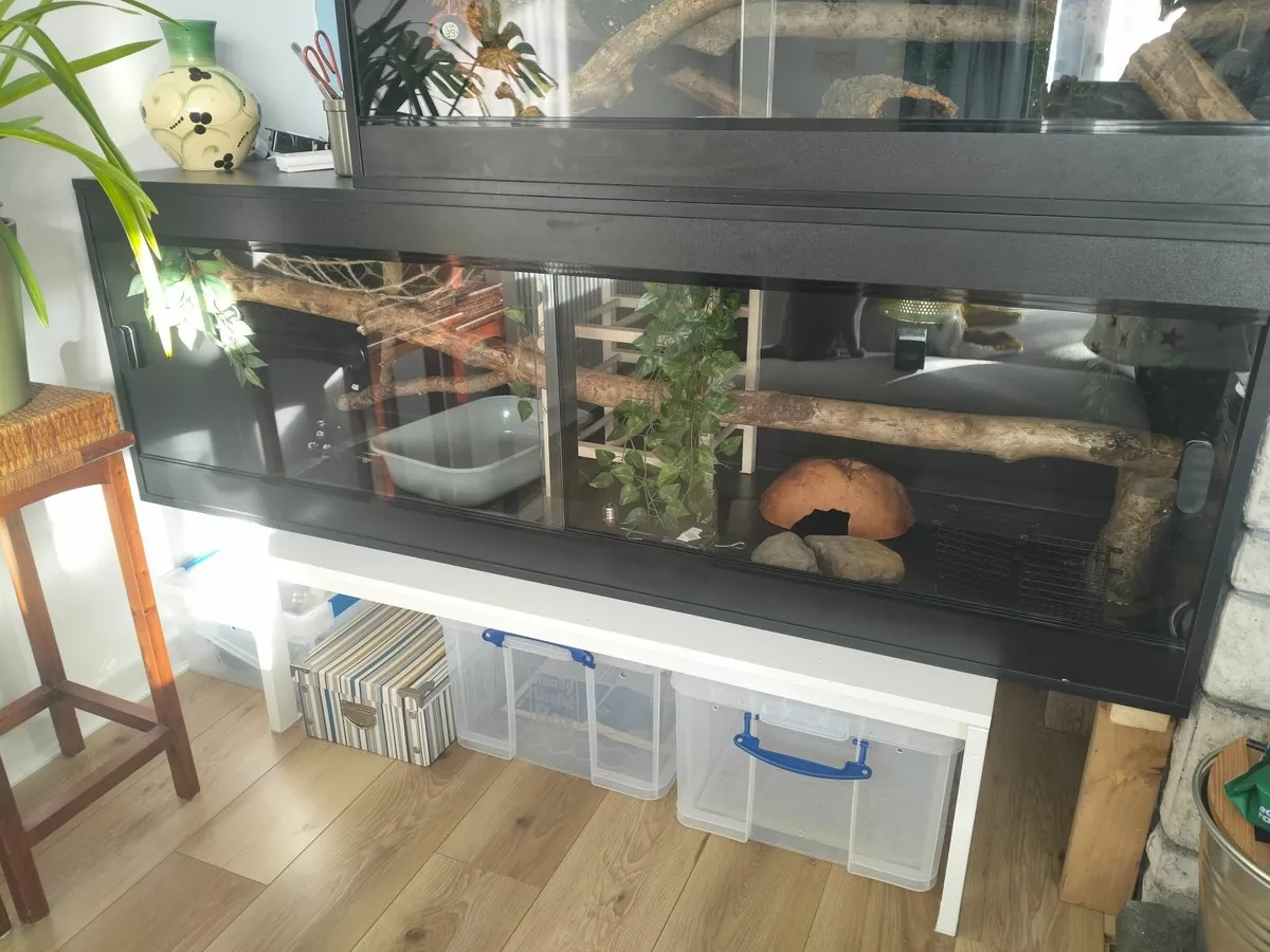 6ft Habistat vivarium - Image 1