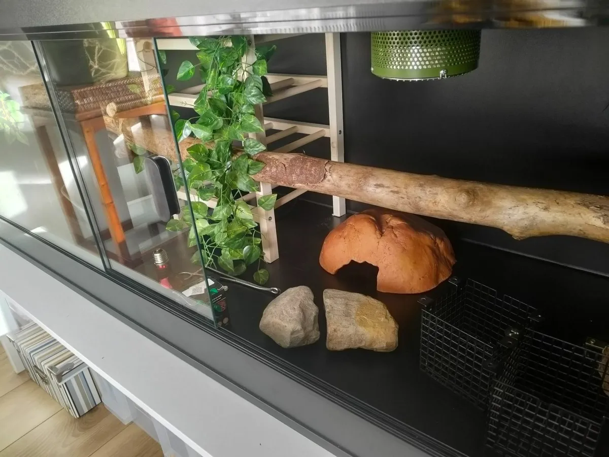 6ft Habistat vivarium - Image 3