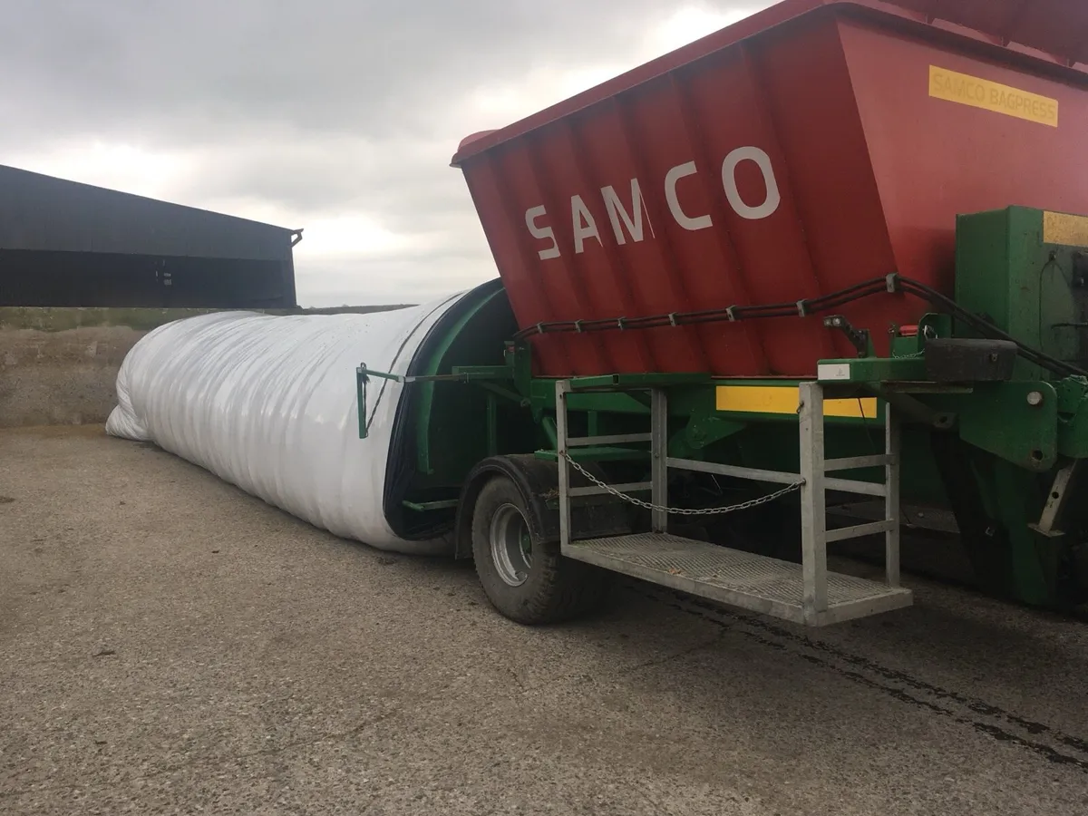 🌽Maize Feed.🌽 - Image 2