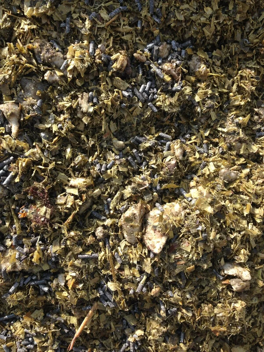 🌽Maize Feed.🌽 - Image 3