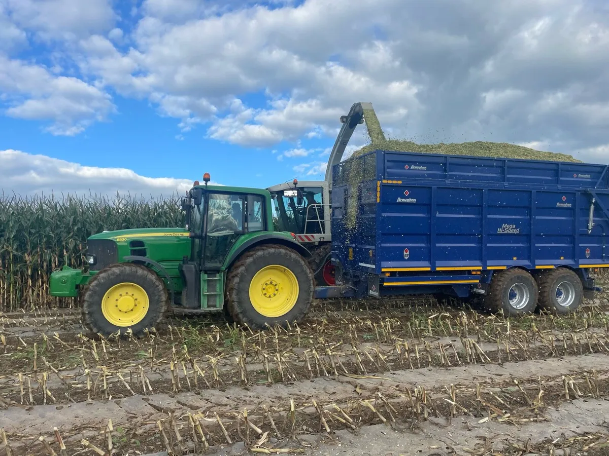 🌽Maize Feed.🌽 - Image 4