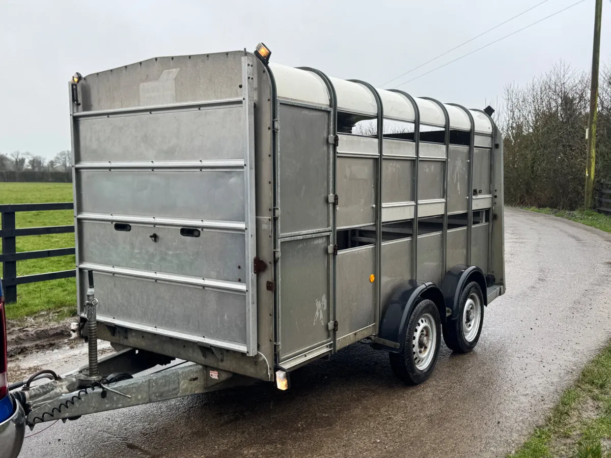 Ifor Williams 12ft Cattle Trailer - Image 3
